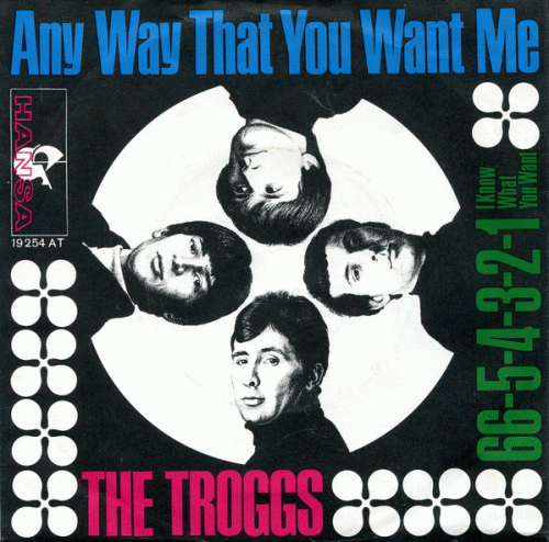 The Troggs : Any Way That You Want Me